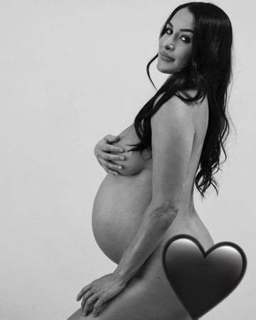 Wwe Nikki And Brie Bella Share Nude Pregnancy Snaps OnSexiezPix Web Porn