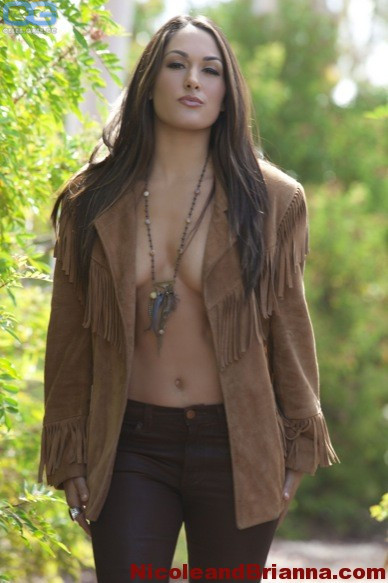 Brie Bella nude, pictures, photos, Playboy, naked, topless, fappening