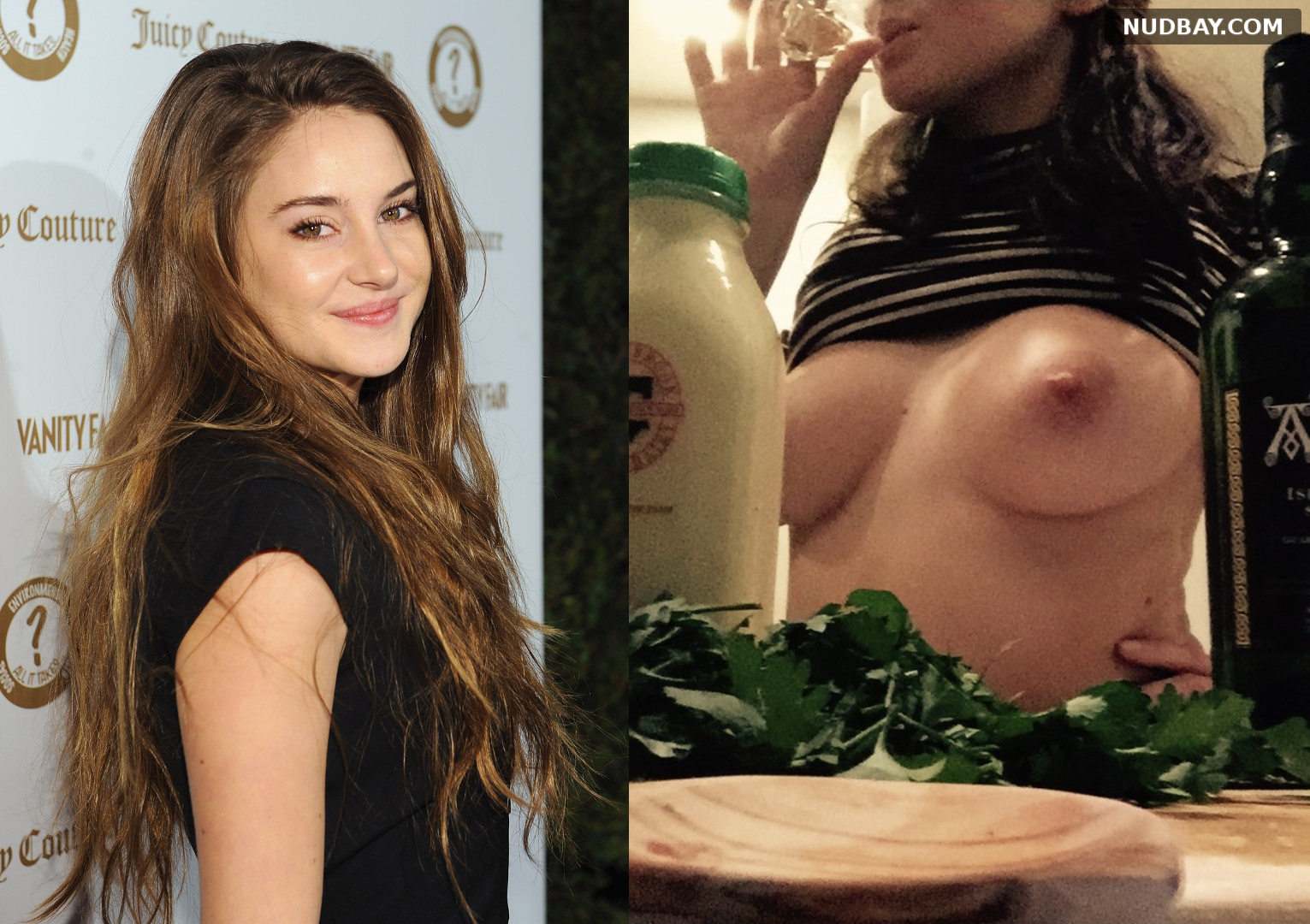 Shailene Woodley nude boobs exclusive photo (2021) – Nudbay